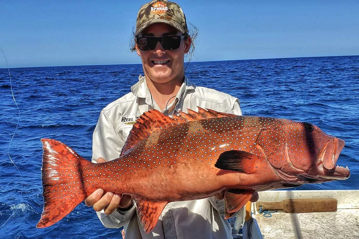 Chris Rushford catching leopard coral trout with soft plastics