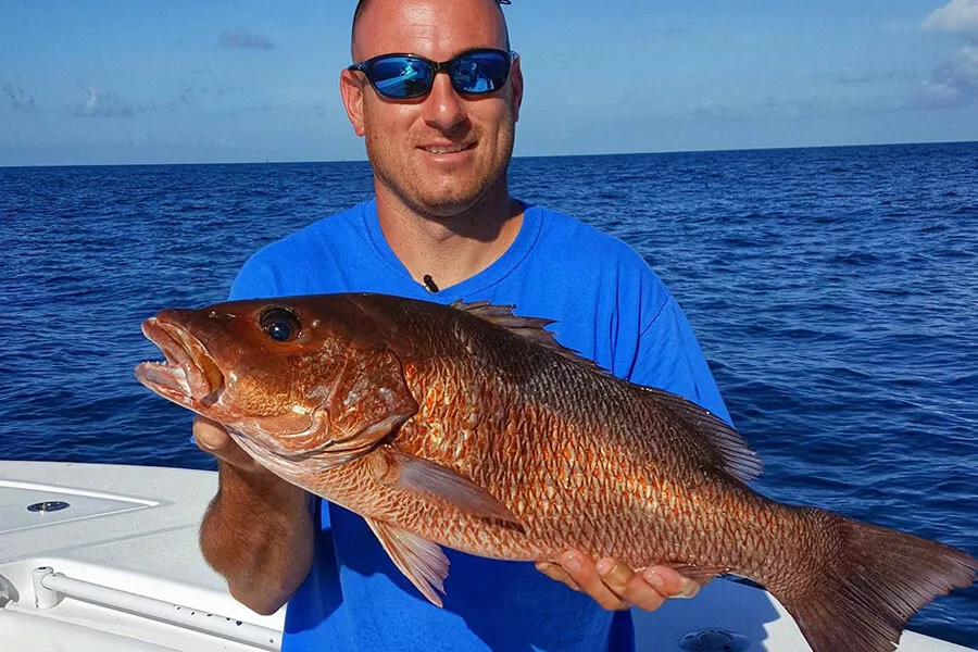 Mangrove Snapper Smarter Fishing In The Spread