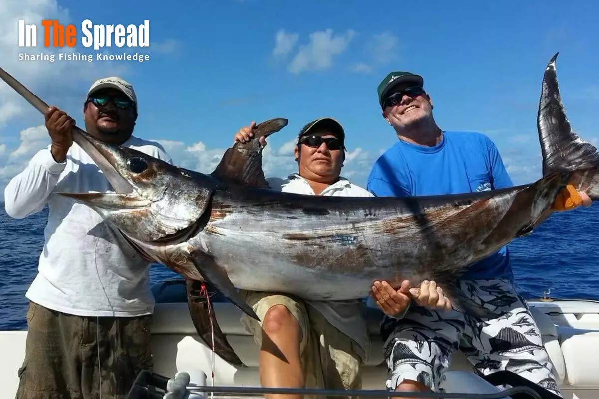 Daytime Swordfish Fish caught in Cozumel by RJ Boyle for In The Spread