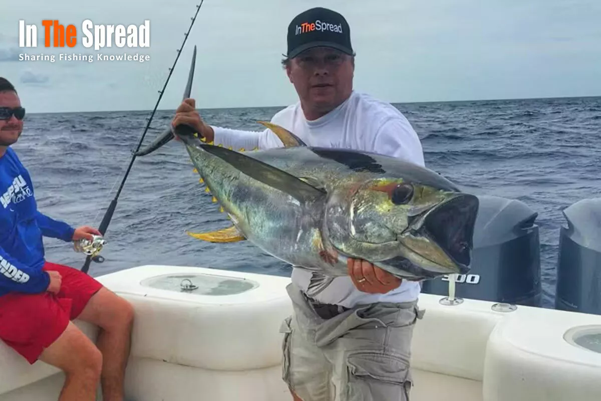Seth Horne uses Talica 25 for light tackle Yellowfin Tuna fishing in the Gulf of Mexico