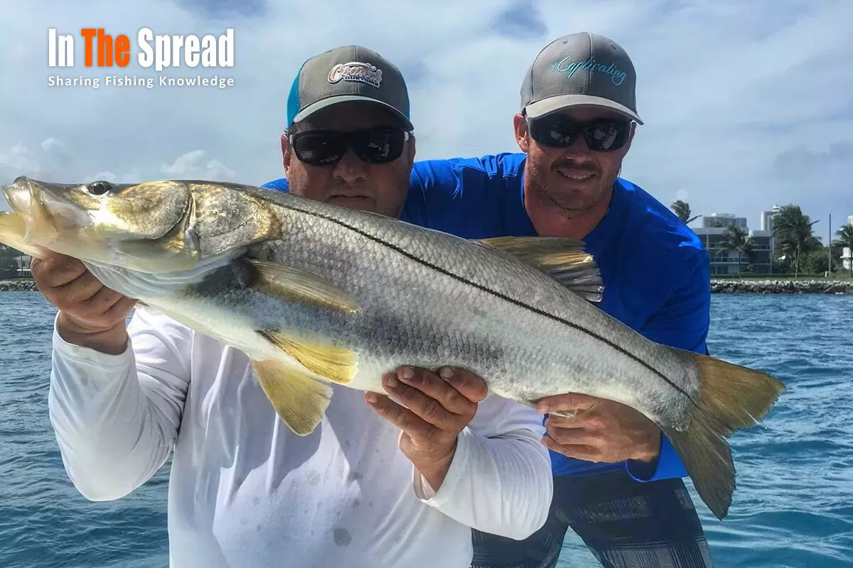 Fishing course being taught about Inlet Fishing for Snook Fish
