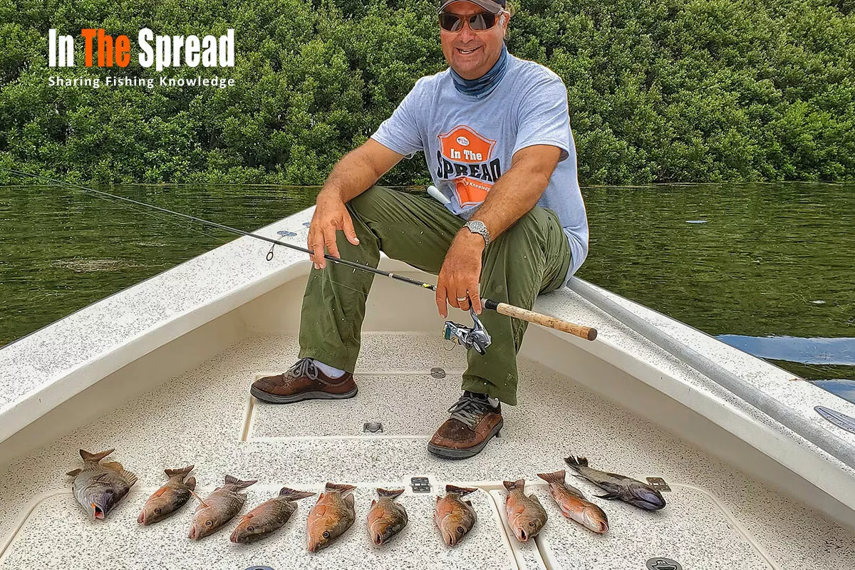 Inshore Mangrove Snapper William Toney