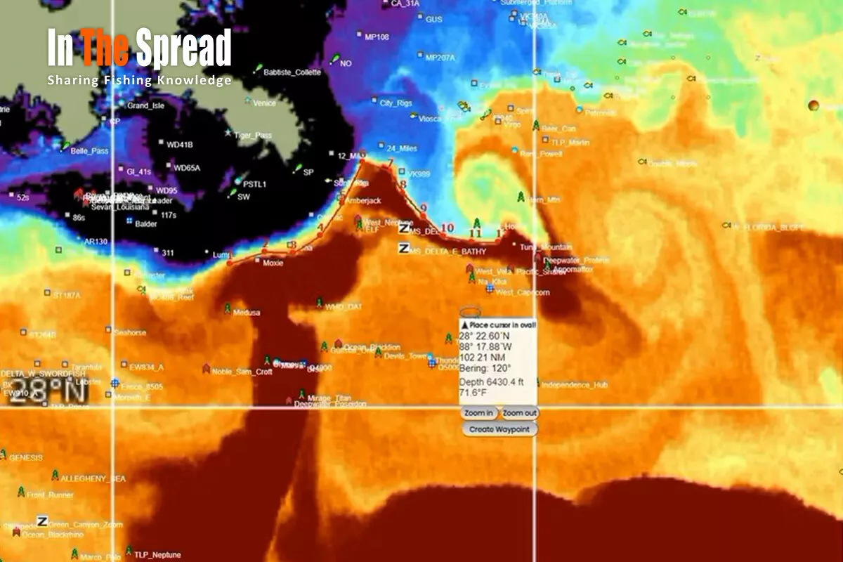 Sea Surface Temperature Fishing Forecast