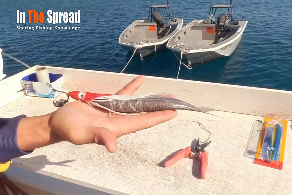 Professional fishing captain preparing ballyhoo trolling rigs demonstrating expert rigging technique.