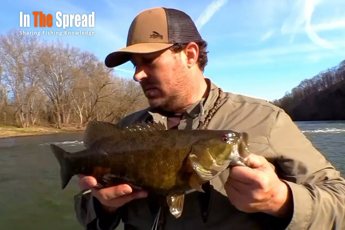 Scott Lewis shares secrets on Jigging Smallmouth Bass