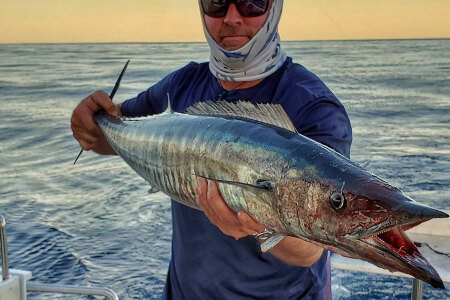 Wahoo Fish - The valued Game Fish and Best sports Fish