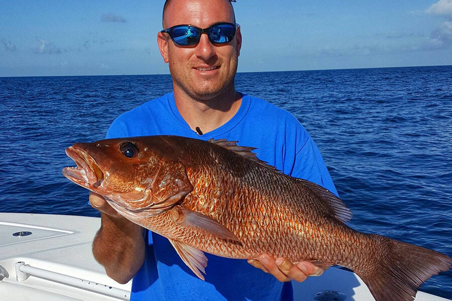 How to Catch Mangrove Snapper - Know the Species