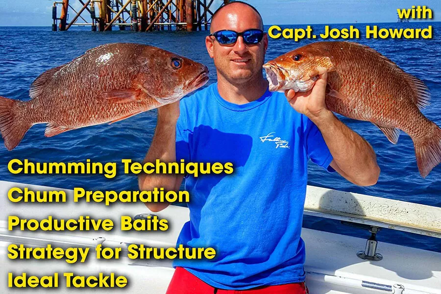 Mangrove Snapper - A Fishing Love Affair