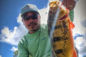  Peacock Bass Fishing Florida - Captain Justin Nguyen