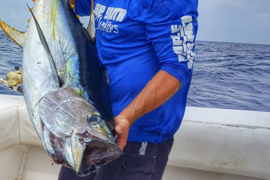 Yellowfin Tuna - Offshore Fishing Tips for a Pelagic Predator