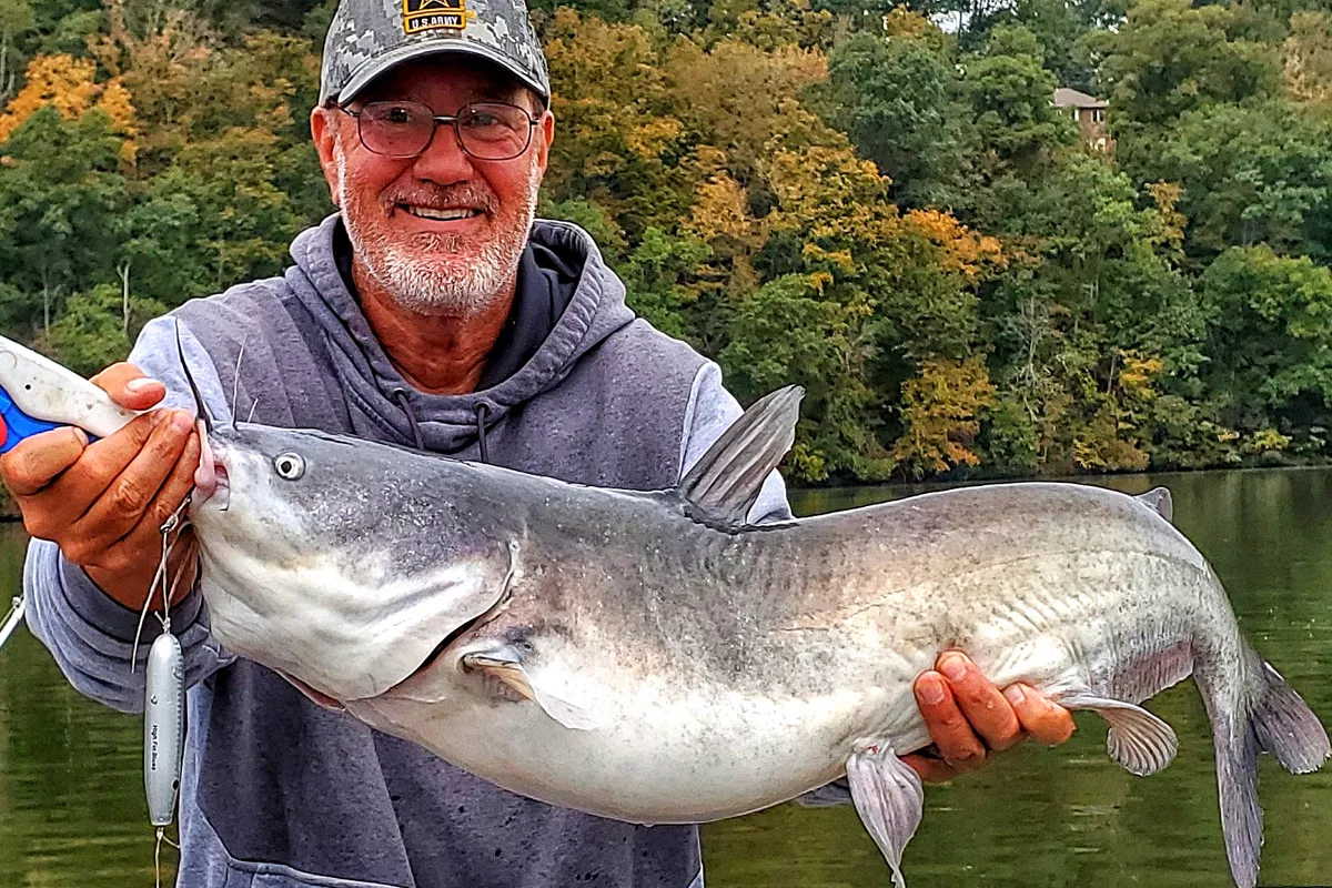 Blue Catfish caught on a low pressure day during the Fall Transition