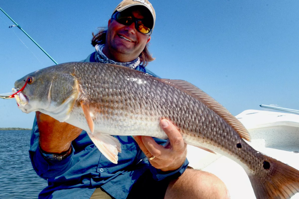 Redfish caught Sight Casting Florida inshore waters
