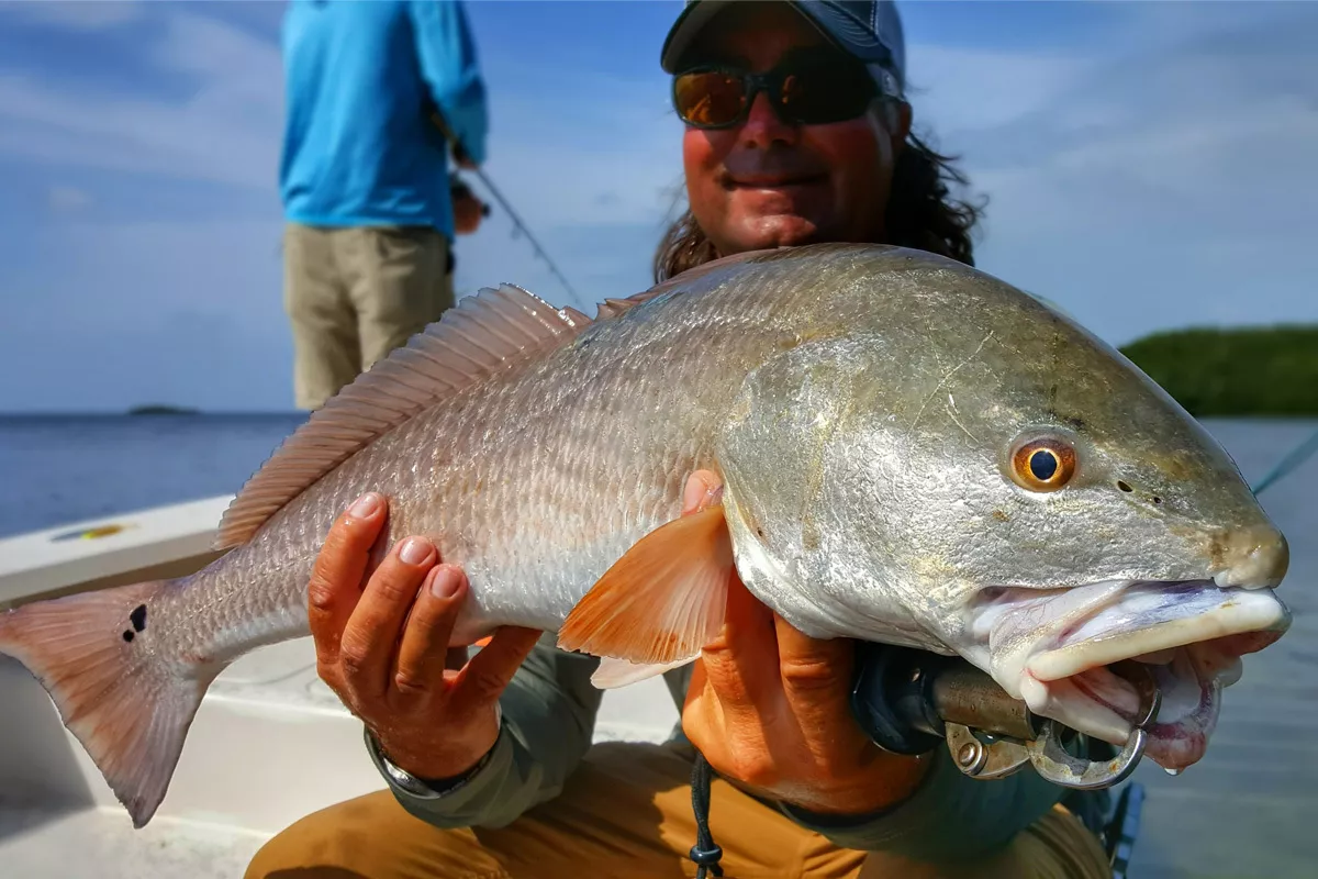 Florida Inshore Slam Redfish Trout Snook