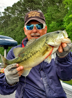 Lake Guntersville Bass Spawn Fishing