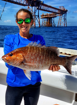 Mangrove Snapper