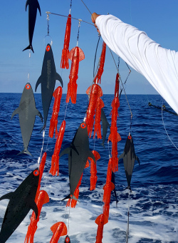 Dredge Fishing