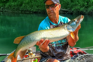 Collins River Post Spawn Musky Fishing