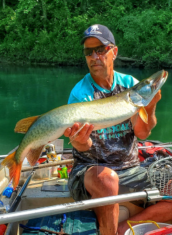 Collins River Post Spawn Musky Fishing