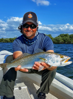 Seatrout