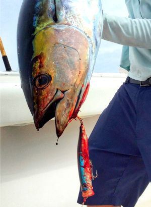 Best Yellowfin Tuna Surface Lures