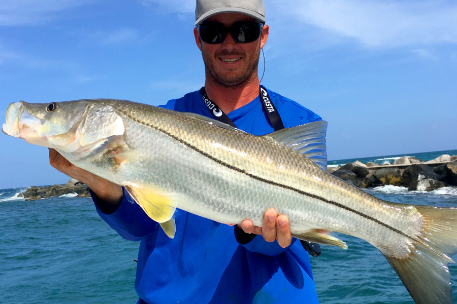 Inlet Fishing for Snook Fish