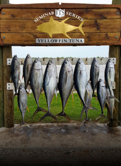 Yellowfin Tuna Fishing Seminar