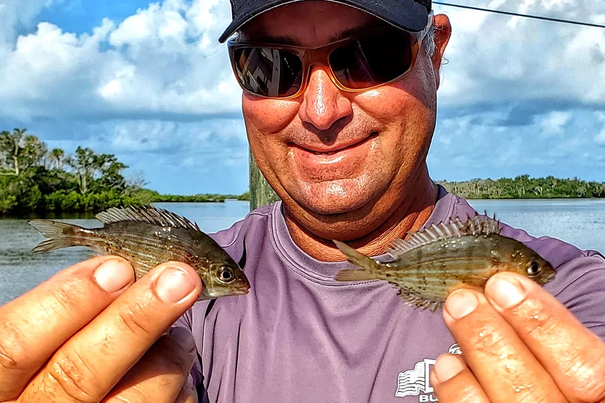 William Toney shows two pinfish which are great Redfish Live Baits