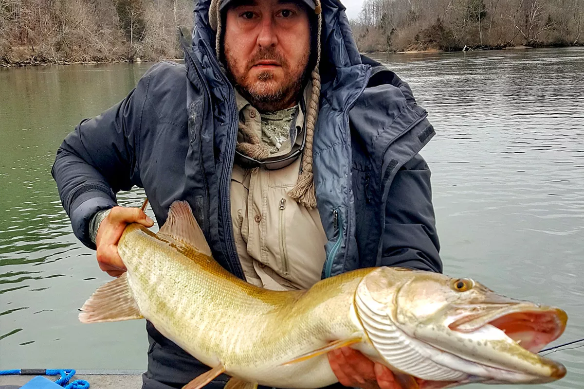 Musky caught Fishing in Deep Rivers