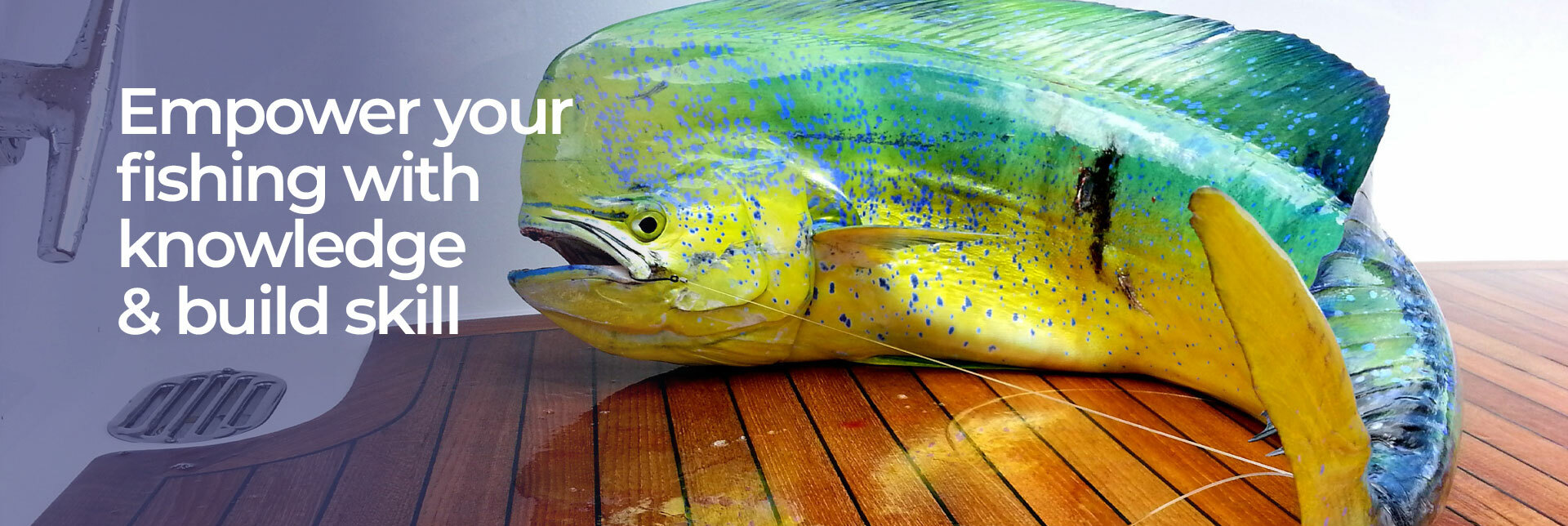 Dolphin - Empower your fishing with knowledge & build skill, In the Spread Home Slider