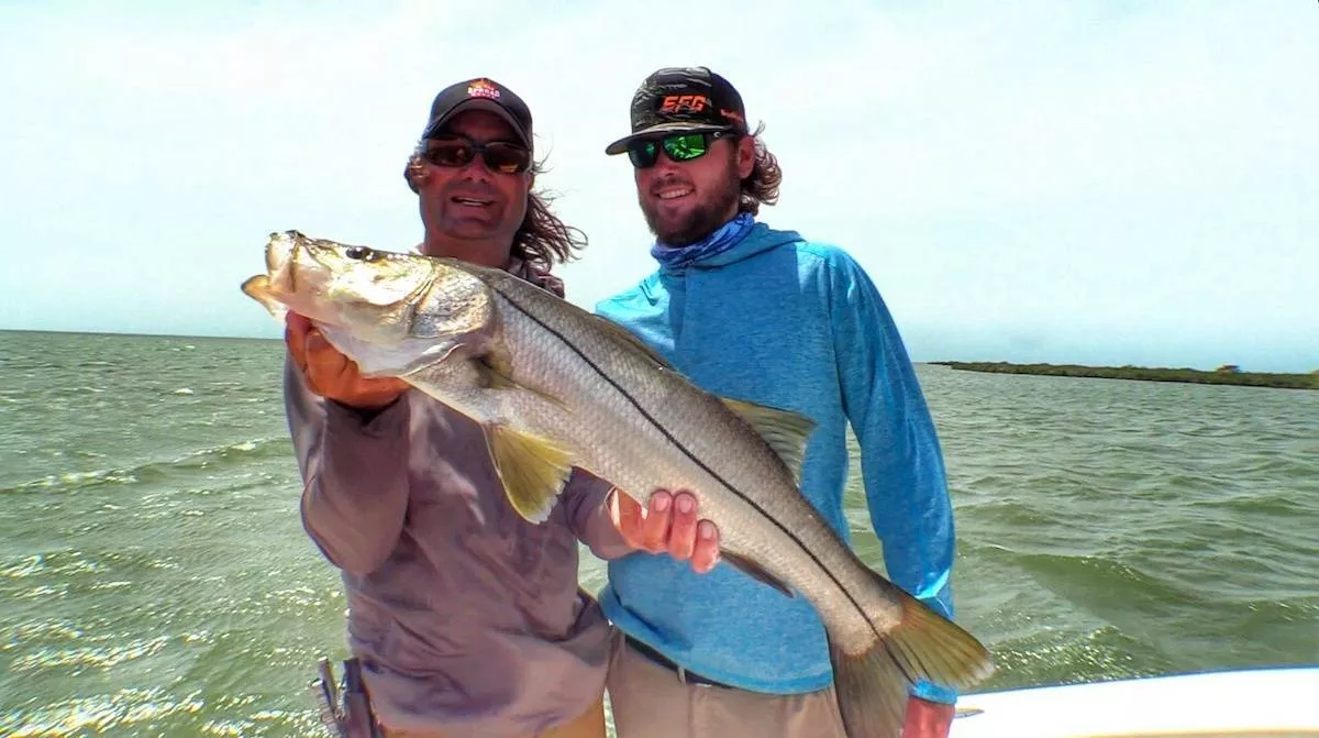 How to Catch Snook – Know the Species