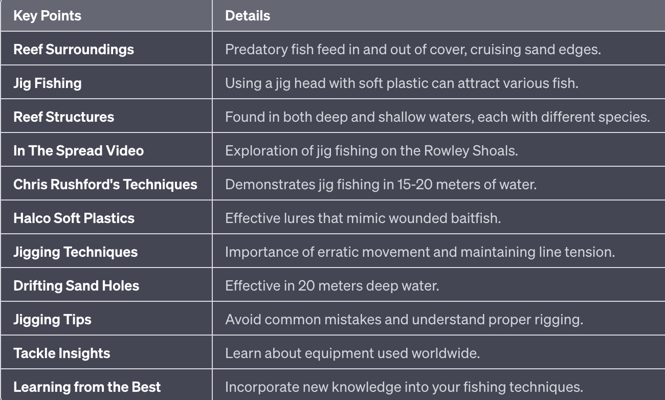 chart outlining key points of jigging with soft plastic lures for reef fishing