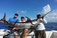 Swordfish - The Power of Smarter Fishing