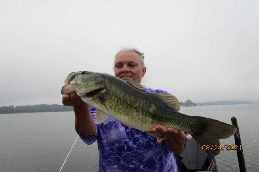 How to Attack Suspending Bass