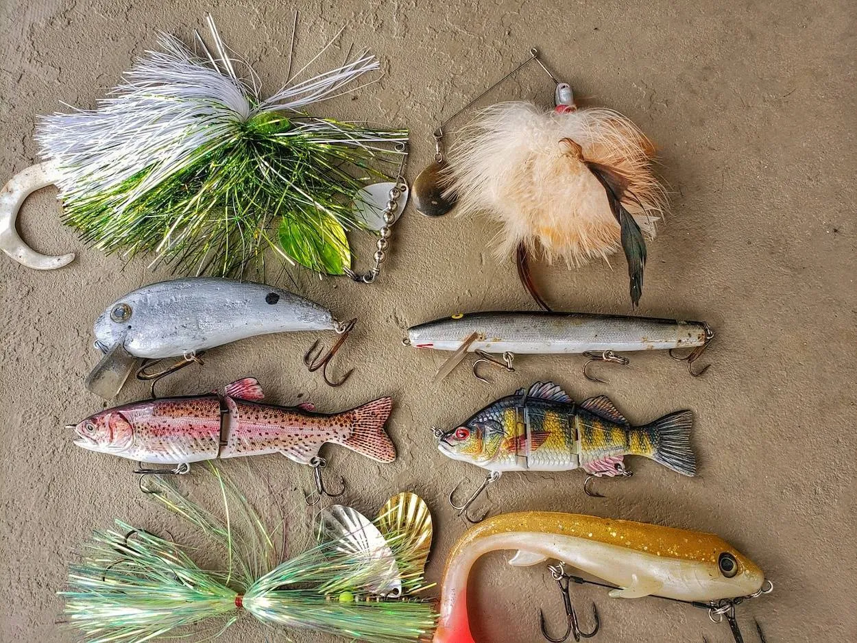 Fall Muskie Fishing - Collins River with Dwayne Hickey