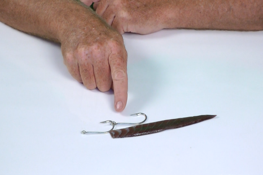 Rigging Strip Baits - Fishing Techniques