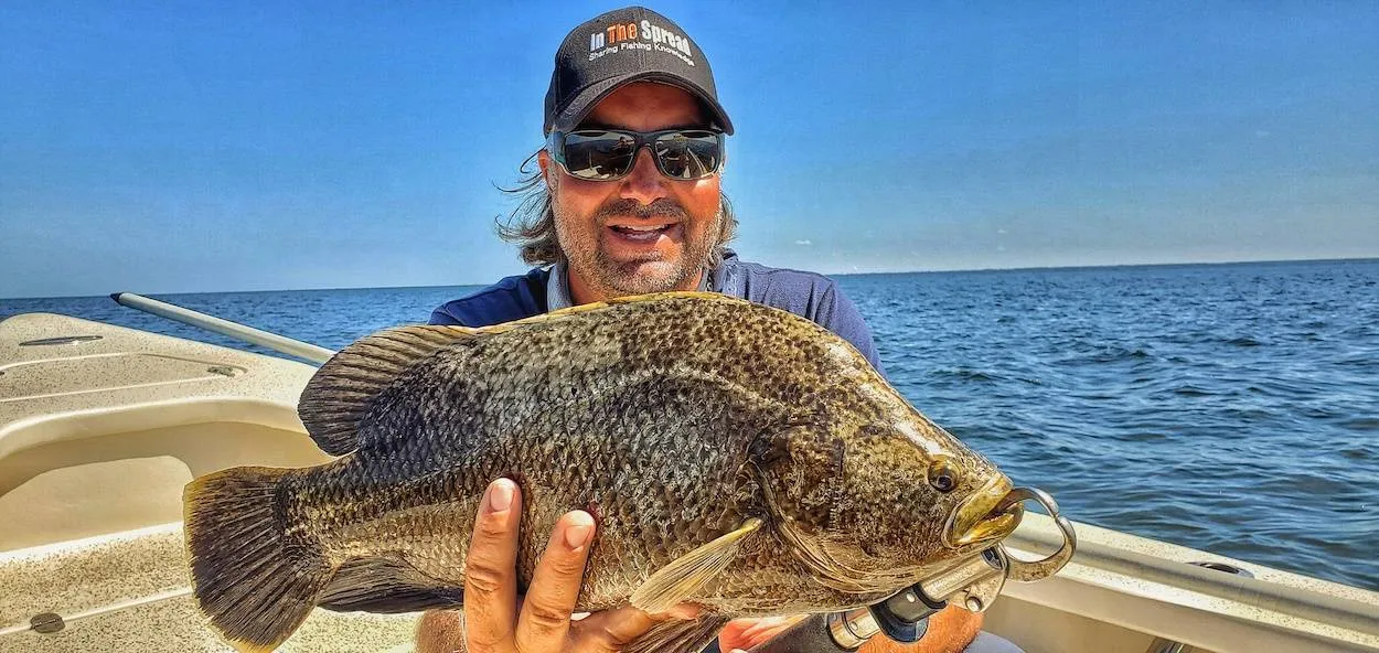 Florida tripletail caught beside channel marker showing distinctive lobed tail fin