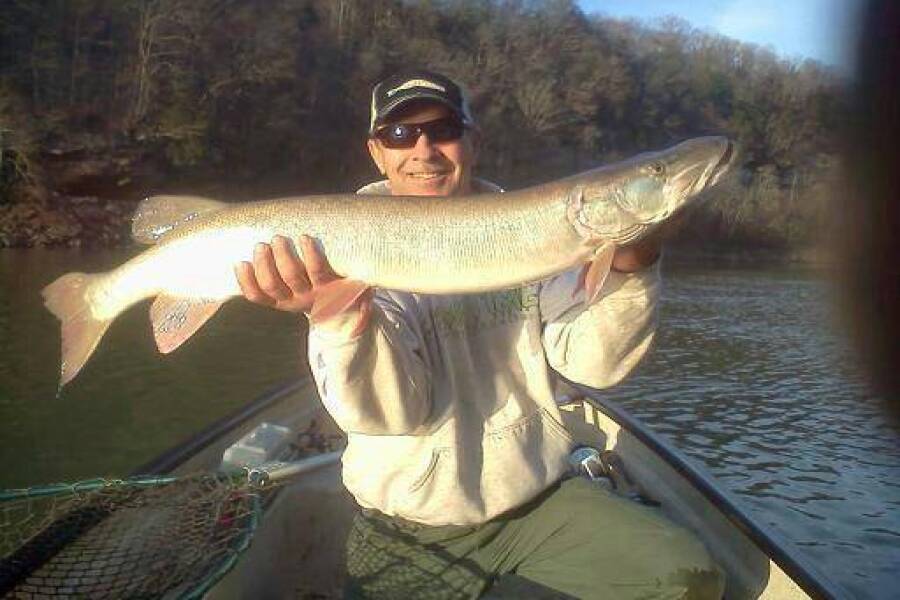 Muskie - the Hated Fish - Kill em' All