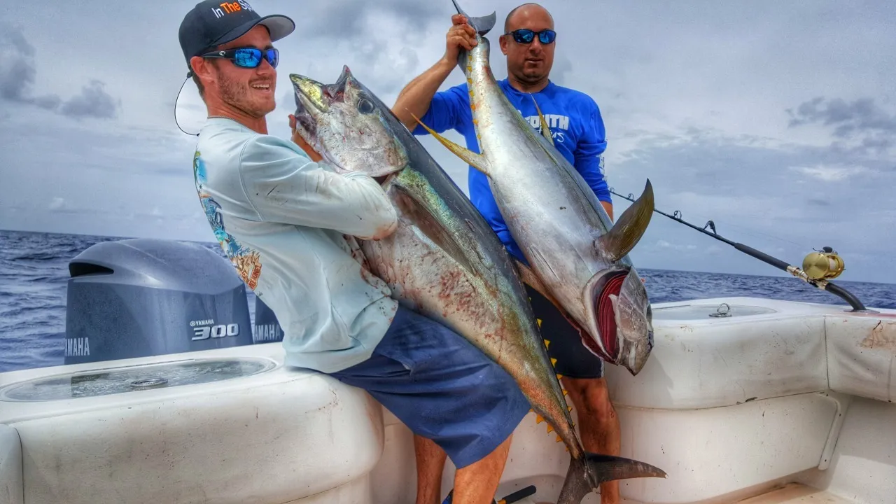 Yellowfin Tuna Fishing - Getting on Fish