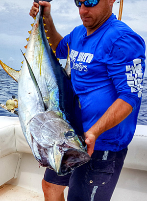Yellowfin Tuna - Offshore Fishing Tips for a Pelagic Predator