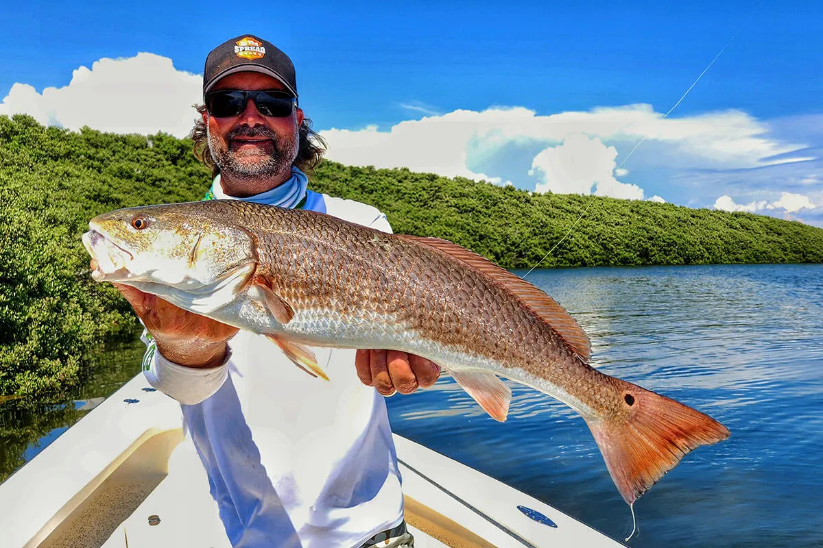 Captain William Toney catches Florida redfish with pinfish