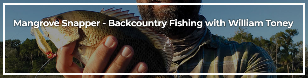 Banner Mangrove Snapper - Backcountry Fishing with William Toney