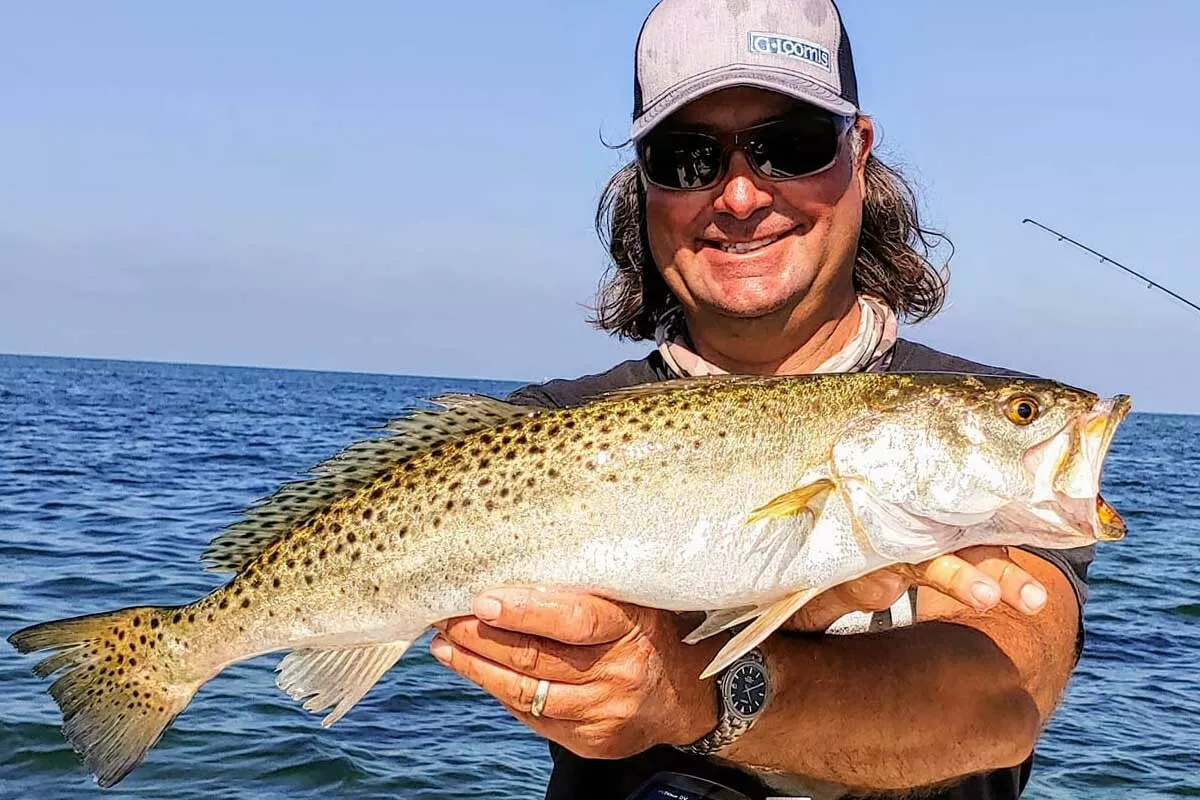 fat seatrout are caught during february in the waters off of Homosassa