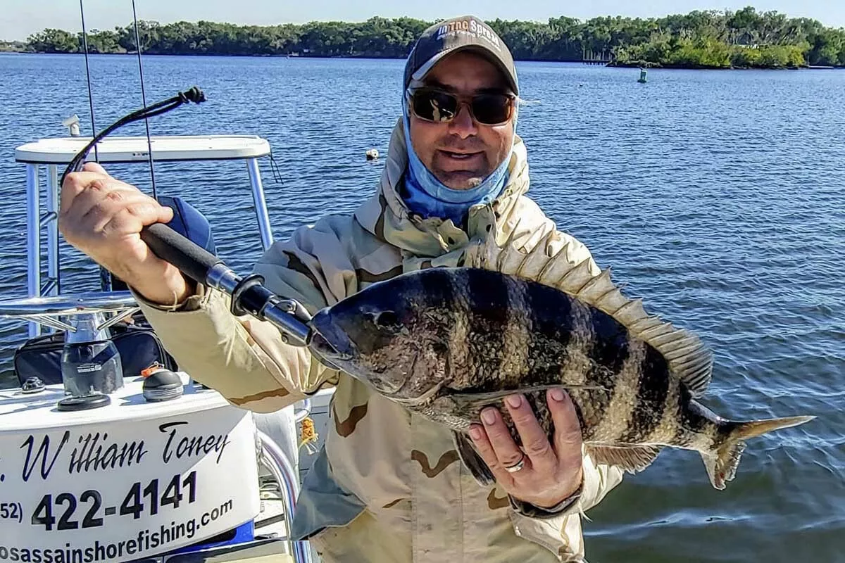 captain william toney with a late winter sheepshead