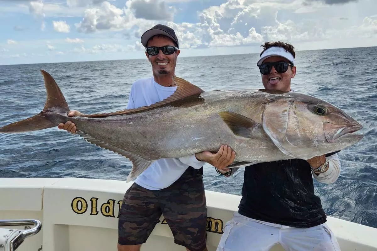 Amberjack - A Guide to Sport Fishing for this Fierce Fighter