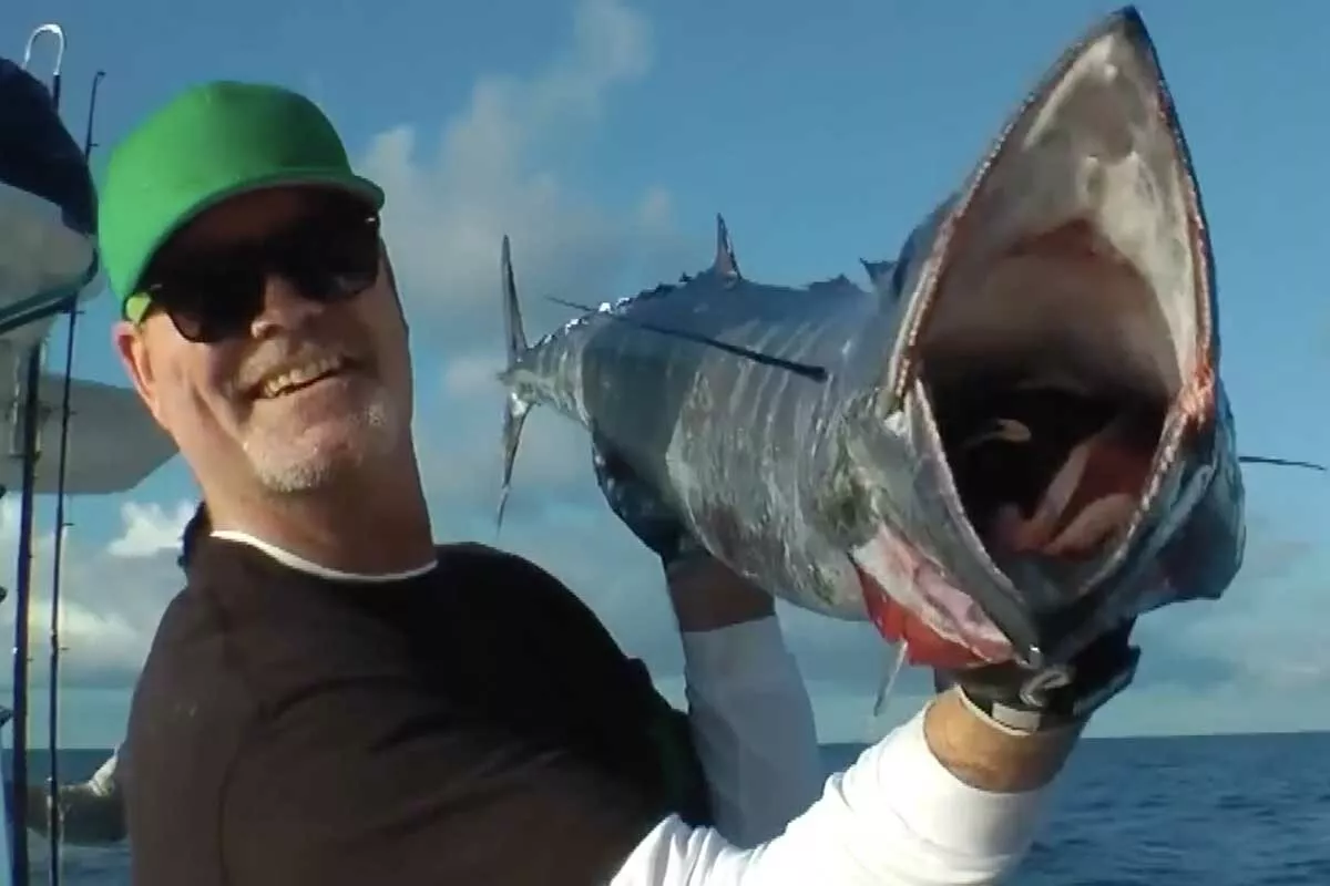 Close-up of a wahoo showing the streamlined body, blue-green coloration, and serrated teeth that define the species