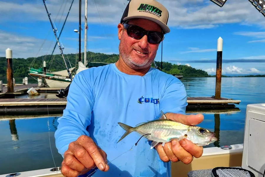 Mike Hennessy shows hook placement to swimming live baits