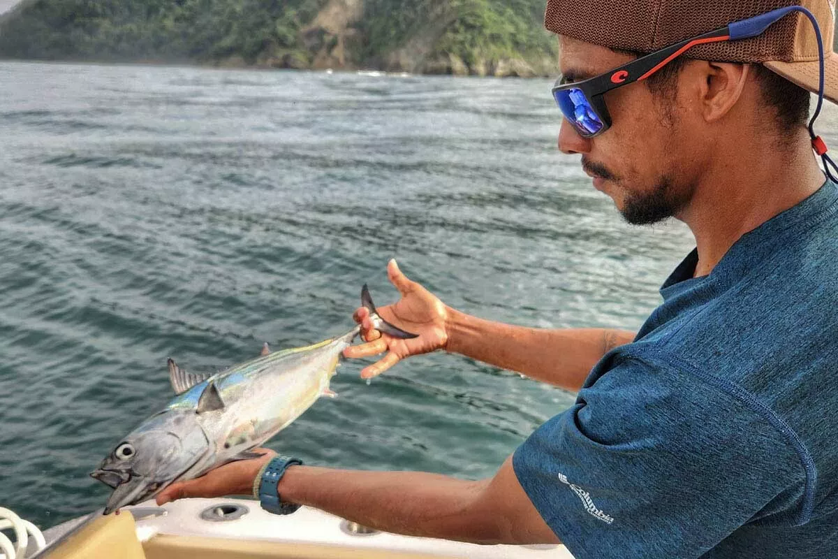 luis salazar holds a skipjack tuna used for giant roosterfish bait