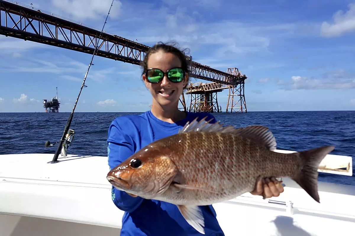 louisiana mangrove snapper caught on the oil rigs