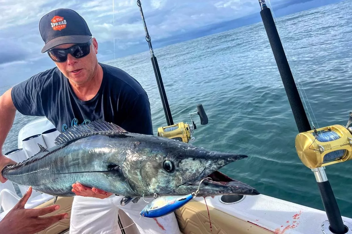 wahoo caught trolling lures off south florida by seth horne