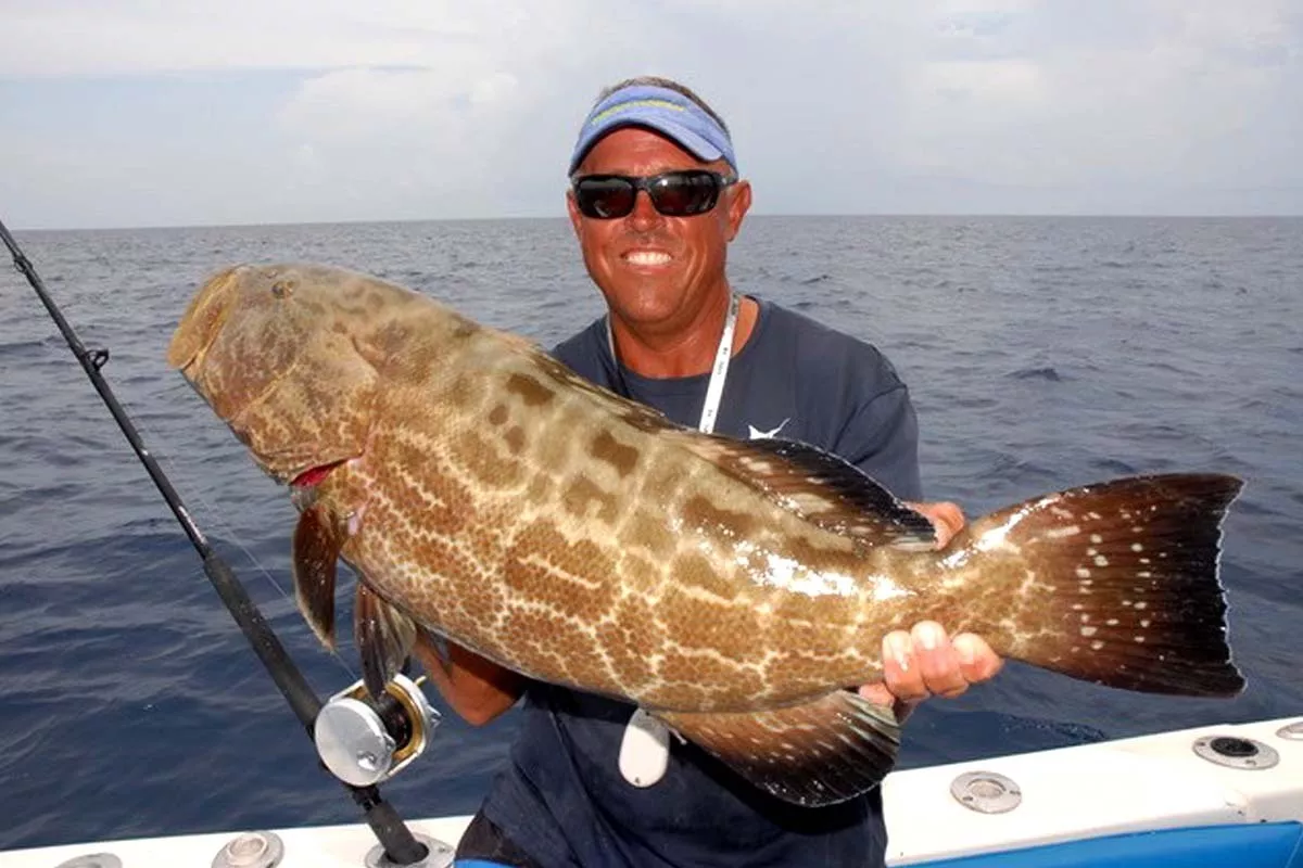 captain ryan van fleet of good karma sportfishing with a big gag grouper